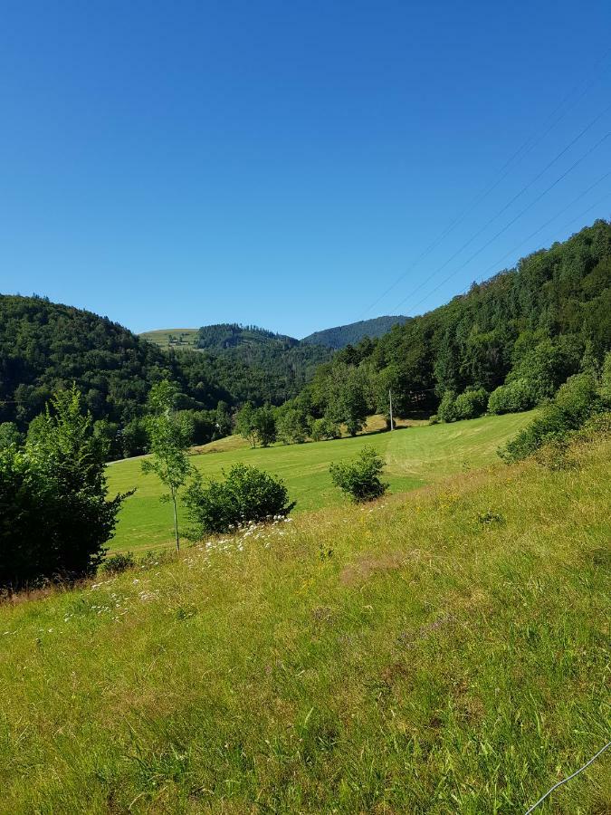Wiesenblume Apartman Schönau im Schwarzwald Kültér fotó