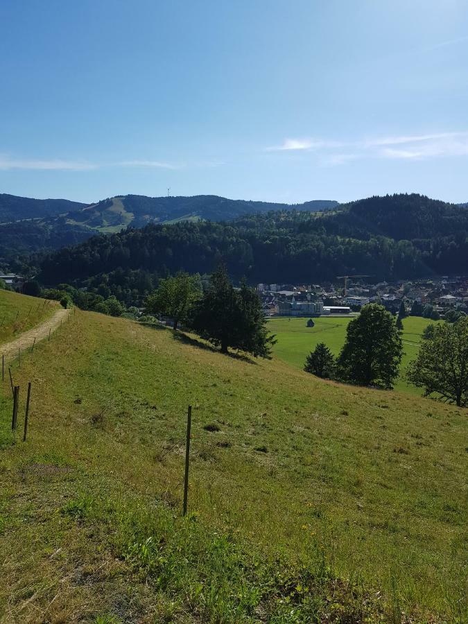 Wiesenblume Apartman Schönau im Schwarzwald Kültér fotó